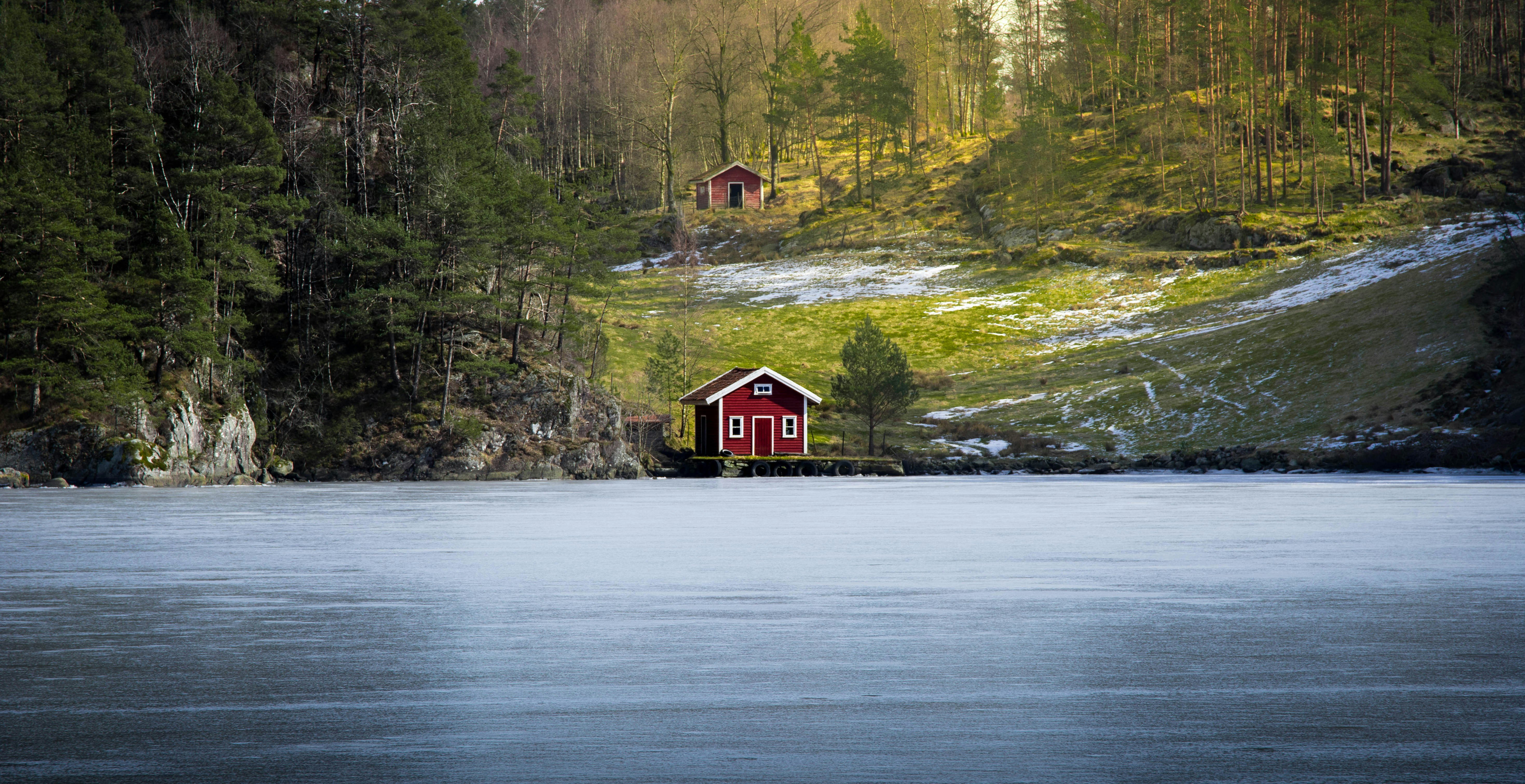 Cabin in the woods by Lachlan Gowen